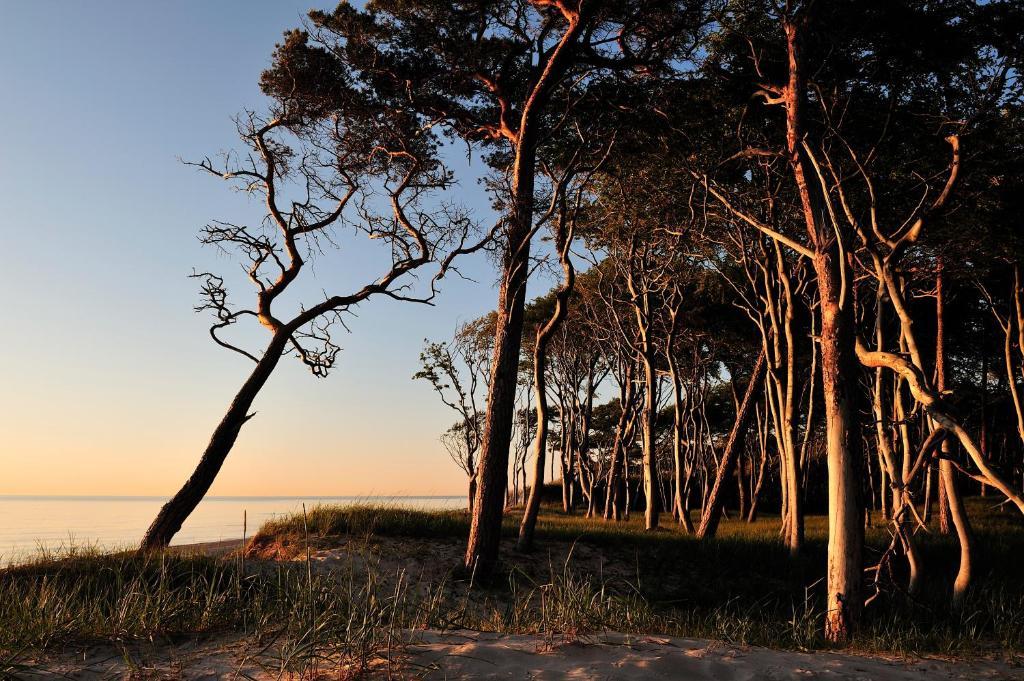 Hotel & Restaurant Seebruecke Zingst Cameră foto